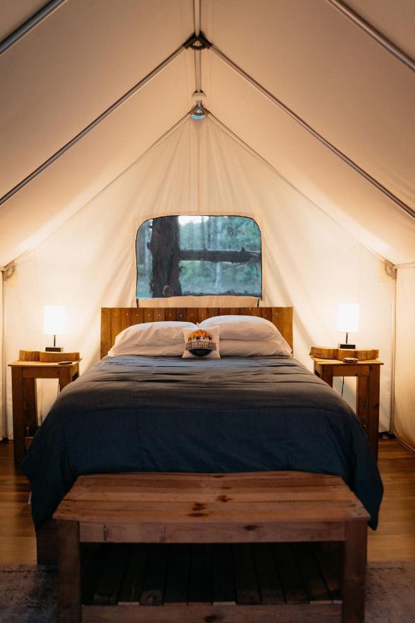Hotel Treehouse Cozy Glamping Site Branson Esterno foto